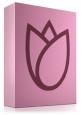 Bath Mats & Shower Seats Bath Mats & Shower Seats